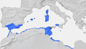 Carthaginian empire