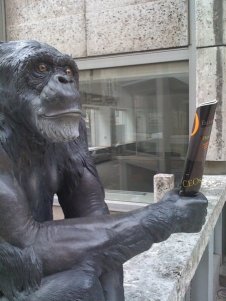 My options are under water